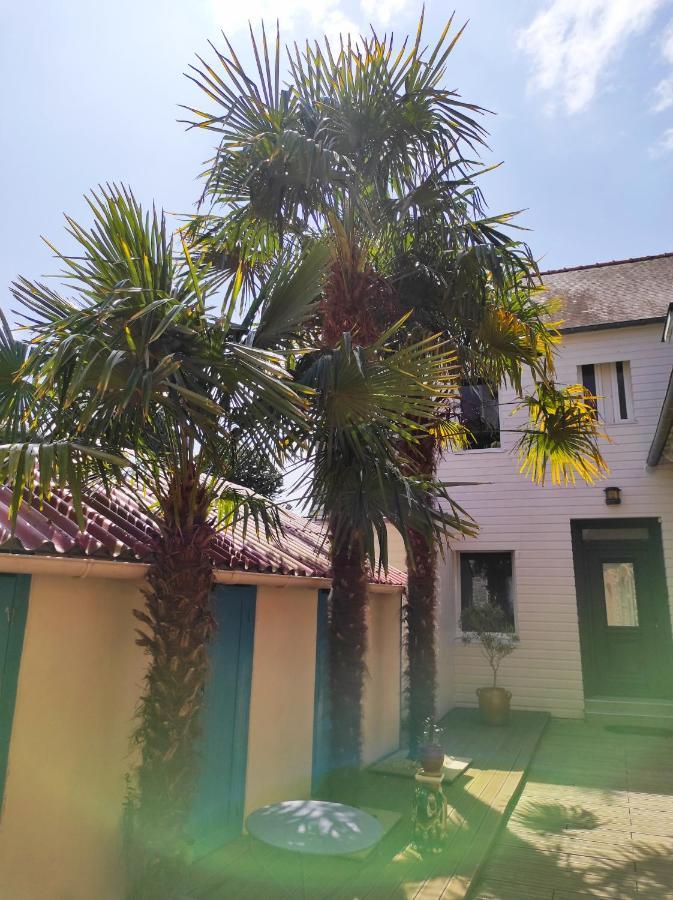 Aux Trois Palmiers Bed & Breakfast Saint-Brieuc Luaran gambar
